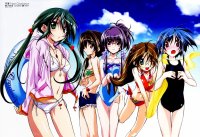BUY NEW graduation - 53245 Premium Anime Print Poster