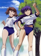 BUY NEW green green - 105362 Premium Anime Print Poster