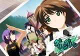BUY NEW green green - 83182 Premium Anime Print Poster