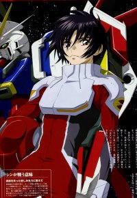BUY NEW gundam seed destiny - 19209 Premium Anime Print Poster
