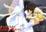 BUY NEW gundam seed destiny - 27041 Premium Anime Print Poster