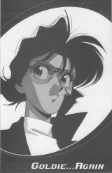 BUY NEW gunsmith cats - 63451 Premium Anime Print Poster
