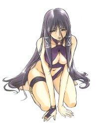 BUY NEW gunxsword - 125315 Premium Anime Print Poster