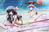 BUY NEW h2o footprints in the sand - 174754 Premium Anime Print Poster
