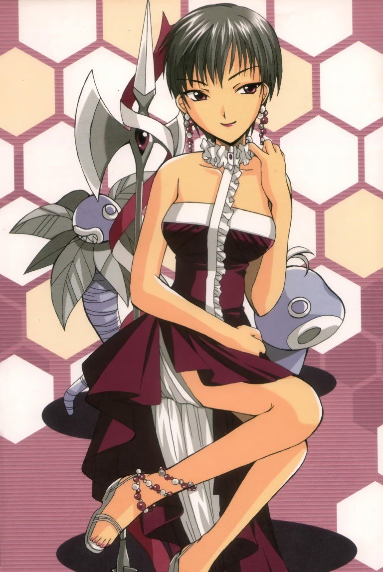 BUY NEW hack dusk - 25871 Premium Anime Print Poster hack dusk - 25871 image