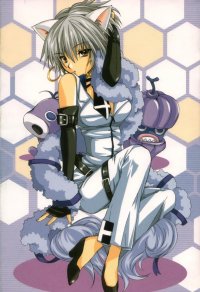 BUY NEW hack dusk - 25875 Premium Anime Print Poster