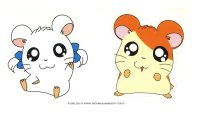 BUY NEW hamtaro - 121089 Premium Anime Print Poster