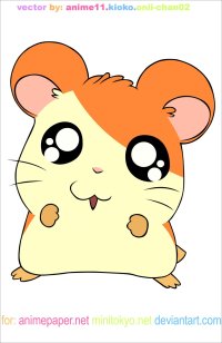 BUY NEW hamtaro - 131764 Premium Anime Print Poster