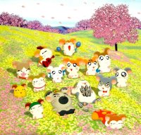 BUY NEW hamtaro - 190671 Premium Anime Print Poster