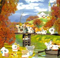 BUY NEW hamtaro - 191714 Premium Anime Print Poster