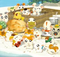 BUY NEW hamtaro - 191726 Premium Anime Print Poster