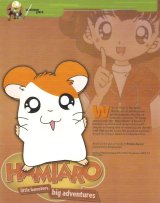 BUY NEW hamtaro - 192352 Premium Anime Print Poster