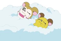 BUY NEW hamtaro - 35081 Premium Anime Print Poster