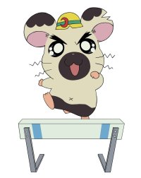 BUY NEW hamtaro - 35082 Premium Anime Print Poster