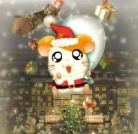 BUY NEW hamtaro - 91941 Premium Anime Print Poster