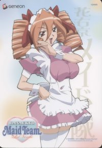 BUY NEW hanaukyo maid team - 108770 Premium Anime Print Poster