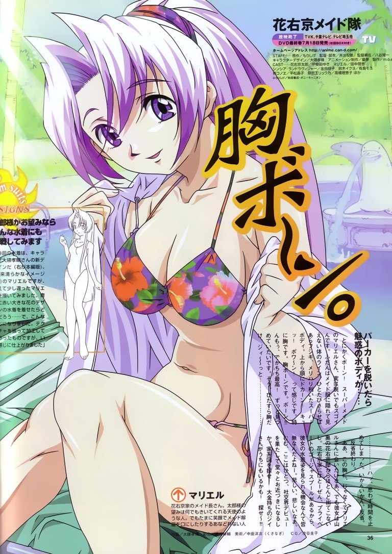 BUY NEW hanaukyo maid team - 49859 Premium Anime Print Poster hanaukyo maid team - 49859 image
