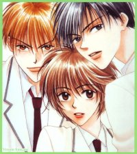 BUY NEW hanazakari no kimitachi e - 163200 Premium Anime Print Poster