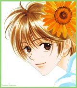 BUY NEW hanazakari no kimitachi e - 163201 Premium Anime Print Poster