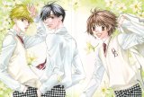 BUY NEW hanazakari no kimitachi e - 163349 Premium Anime Print Poster