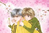 BUY NEW hanazakari no kimitachi e - 163358 Premium Anime Print Poster