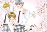 BUY NEW hanazakari no kimitachi e - 163359 Premium Anime Print Poster