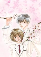 BUY NEW hanazakari no kimitachi e - 163441 Premium Anime Print Poster