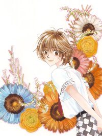 BUY NEW hanazakari no kimitachi e - 163542 Premium Anime Print Poster