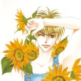 BUY NEW hanazakari no kimitachi e - 163544 Premium Anime Print Poster