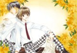 BUY NEW hanazakari no kimitachi e - 163547 Premium Anime Print Poster