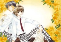 BUY NEW hanazakari no kimitachi e - 163547 Premium Anime Print Poster