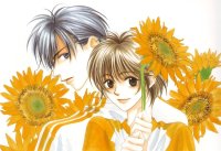 BUY NEW hanazakari no kimitachi e - 163548 Premium Anime Print Poster