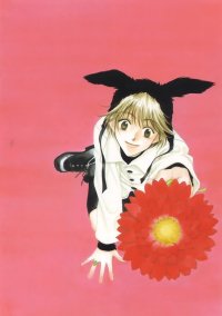 BUY NEW hanazakari no kimitachi e - 163672 Premium Anime Print Poster