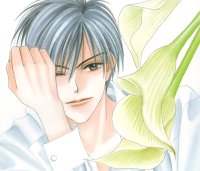 BUY NEW hanazakari no kimitachi e - 163675 Premium Anime Print Poster