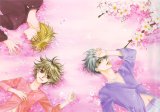 BUY NEW hanazakari no kimitachi e - 163676 Premium Anime Print Poster