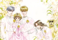 BUY NEW hanazakari no kimitachi e - 163729 Premium Anime Print Poster