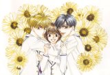 BUY NEW hanazakari no kimitachi e - 163872 Premium Anime Print Poster