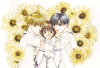 BUY NEW hanazakari no kimitachi e - 163872 Premium Anime Print Poster