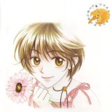 BUY NEW hanazakari no kimitachi e - 163878 Premium Anime Print Poster