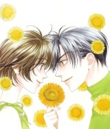 BUY NEW hanazakari no kimitachi e - 163887 Premium Anime Print Poster
