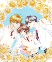 BUY NEW hanazakari no kimitachi e - 163921 Premium Anime Print Poster