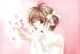 BUY NEW hanazakari no kimitachi e - 163974 Premium Anime Print Poster