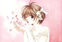 BUY NEW hanazakari no kimitachi e - 163974 Premium Anime Print Poster