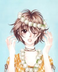 BUY NEW hanazakari no kimitachi e - 163981 Premium Anime Print Poster