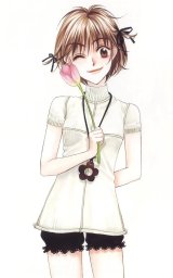 BUY NEW hanazakari no kimitachi e - 163982 Premium Anime Print Poster