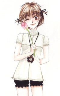 BUY NEW hanazakari no kimitachi e - 163982 Premium Anime Print Poster