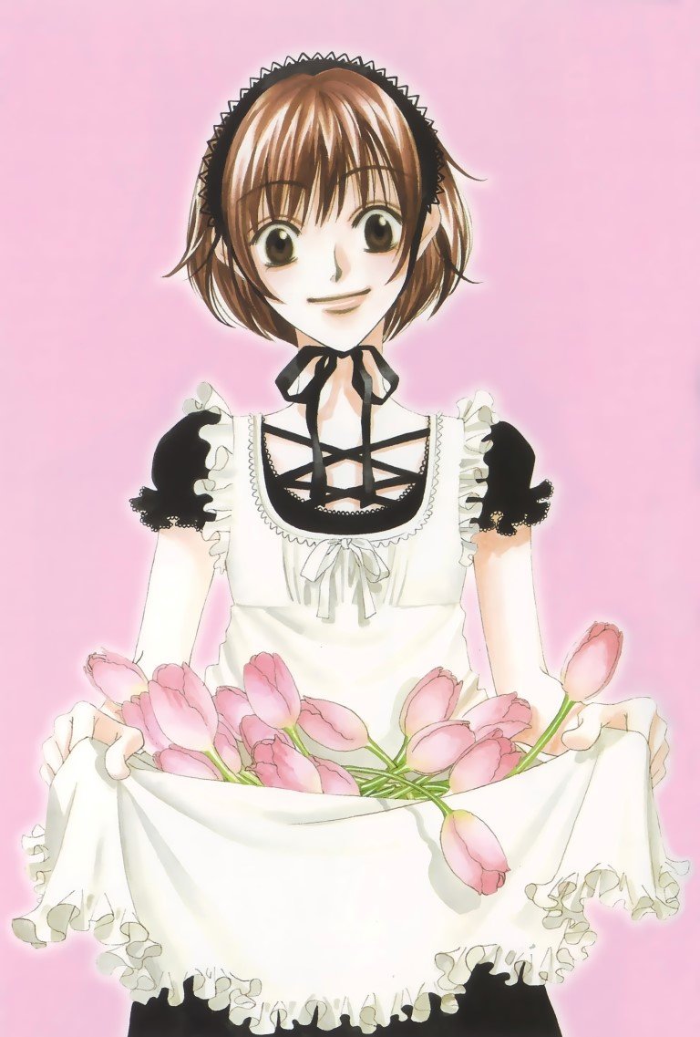 BUY NEW hanazakari no kimitachi e - 164168 Premium Anime Print Poster hanazakari no kimitachi e - 164168 image