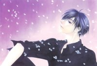 BUY NEW hanazakari no kimitachi e - 164438 Premium Anime Print Poster