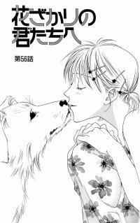 BUY NEW hanazakari no kimitachi e - 174704 Premium Anime Print Poster