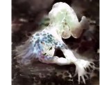BUY NEW haruhiko mikimoto - 56423 Premium Anime Print Poster